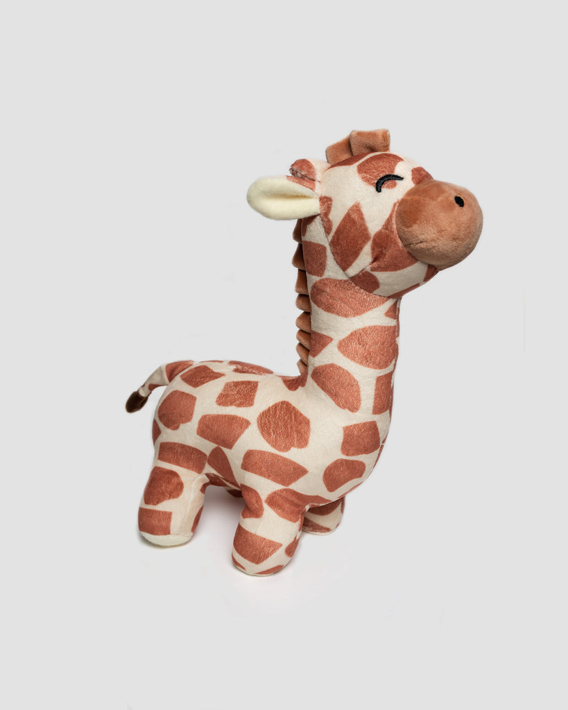 Legend giraffe plushie isolated photo