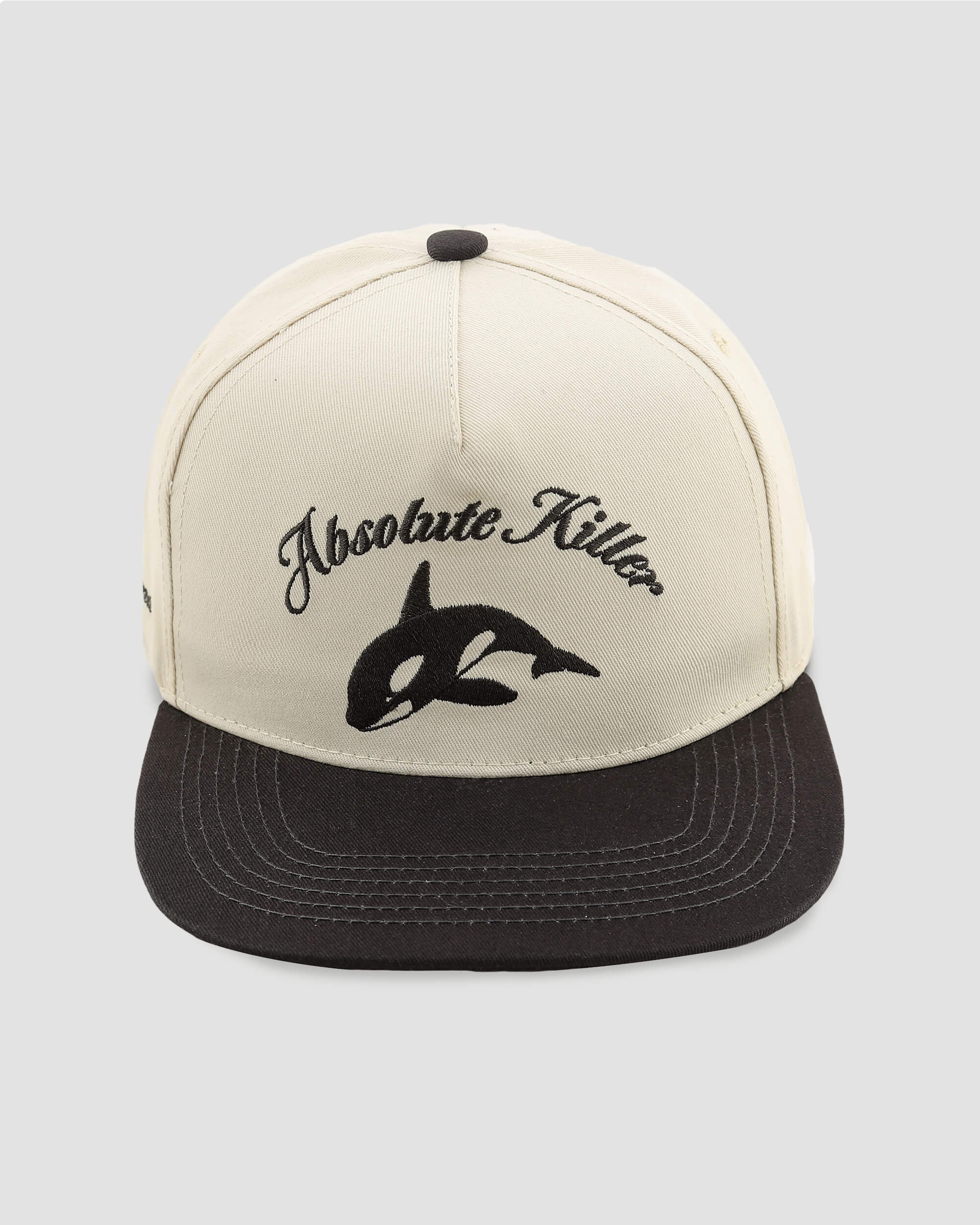 Protect Dolphins – Follow Your Legend