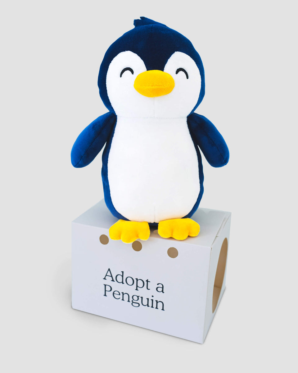 Pablo The Penguin Plushie Penguin Legend Plushie Follow Your Legend