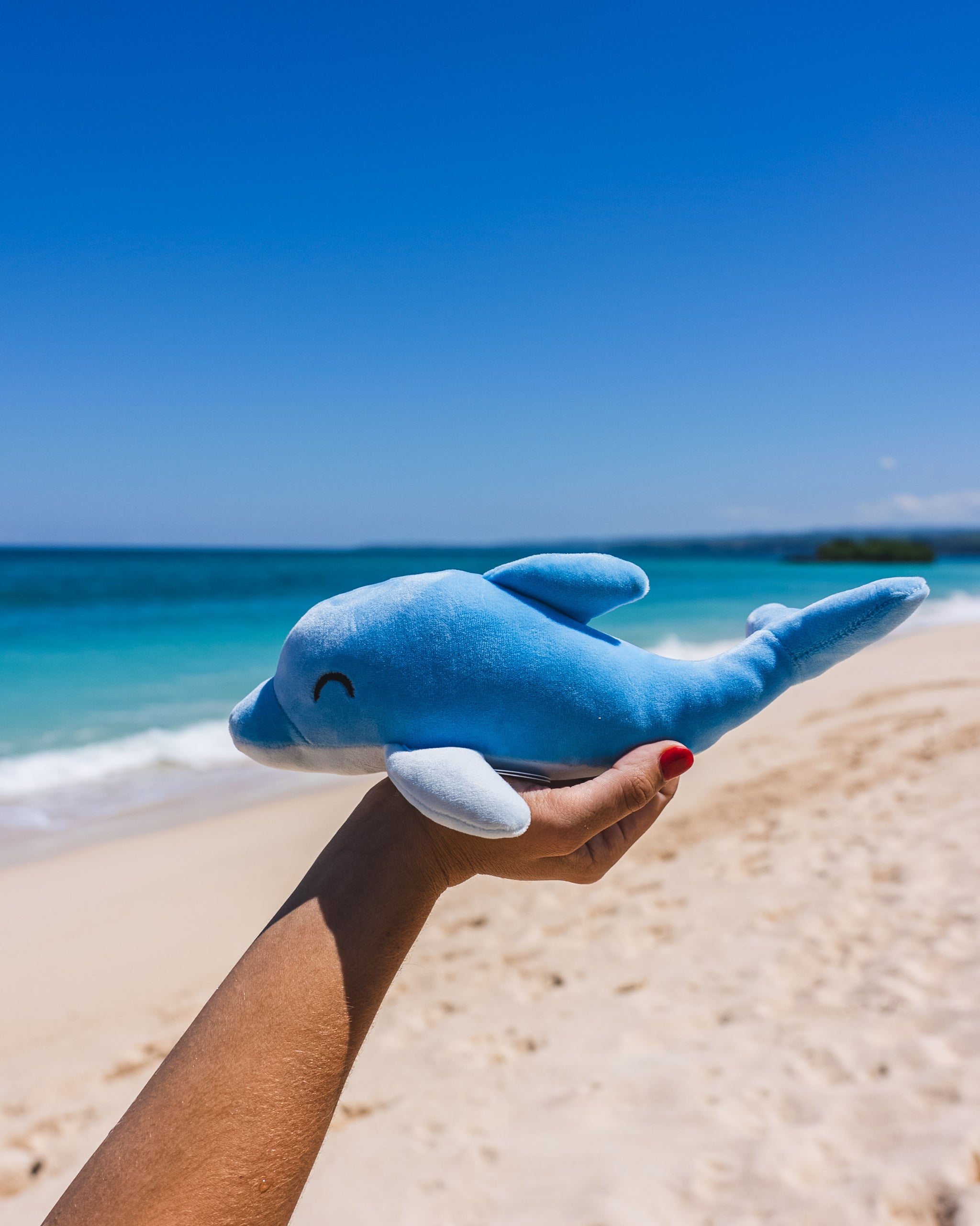 Dylan The Dolphin Plushie | Dolphin Legend Plushie – Follow Your Legend