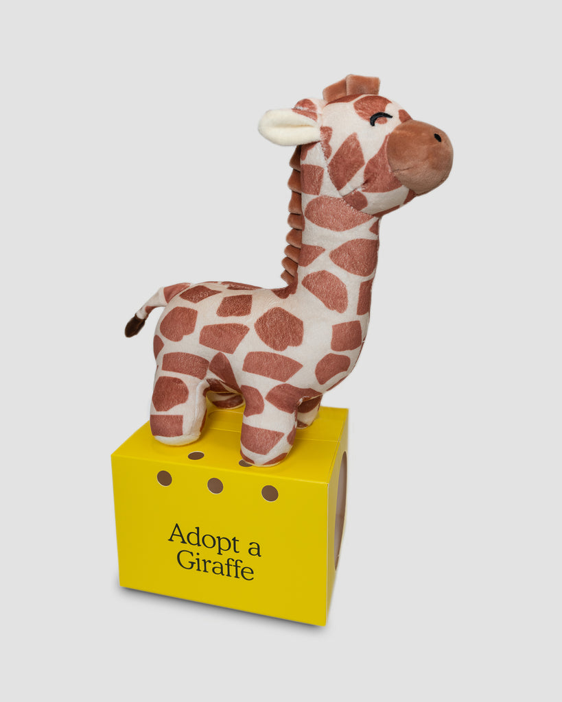 Legend giraffe plushie sitting on adoption box