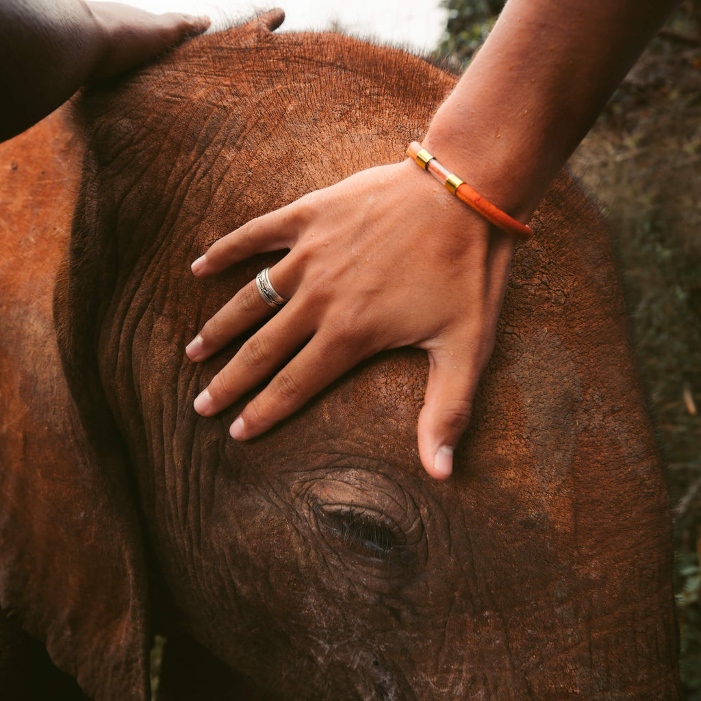 gold plated elephant legend bracelet touching head of elephant