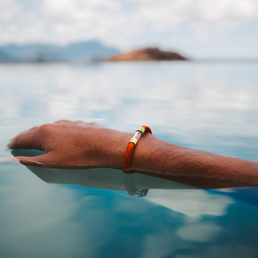 gold plated elephant legend bracelet in water