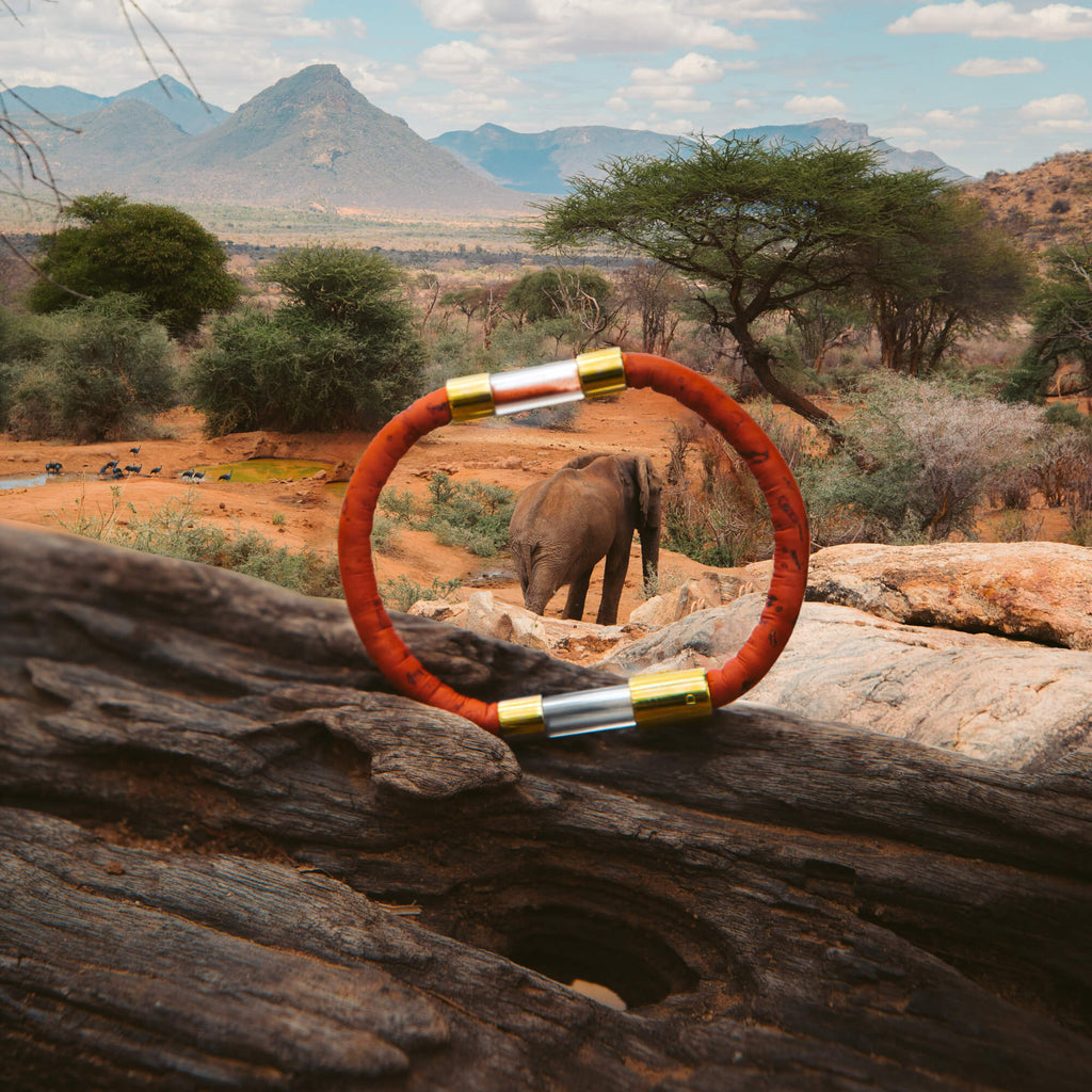 gold plated elephant legend bracelet on safari