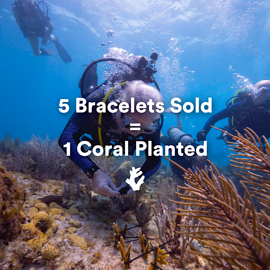 Coral Legend Bracelet - Legend Bracelet