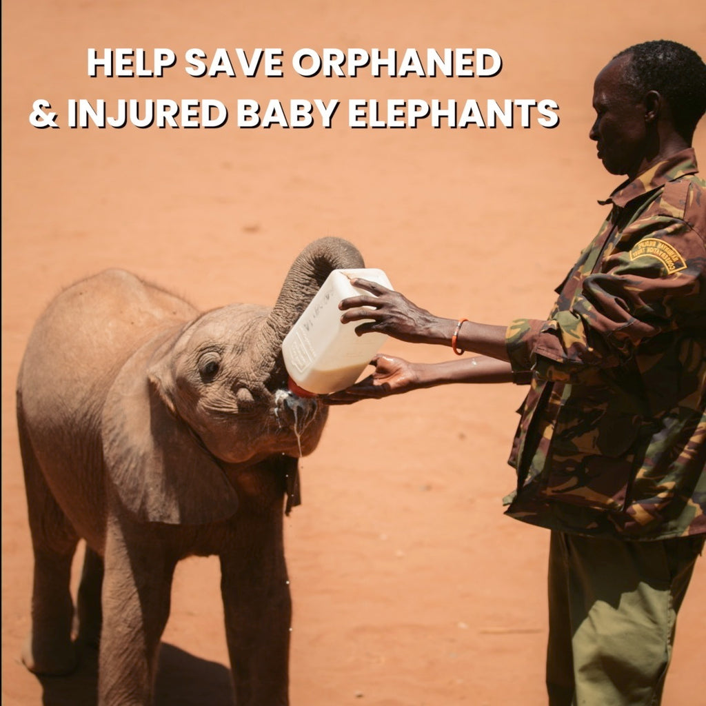 Help Save Orphaned & Injured Baby Elephants