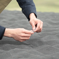 Arctic Legend Bracelet - Legend Bracelet